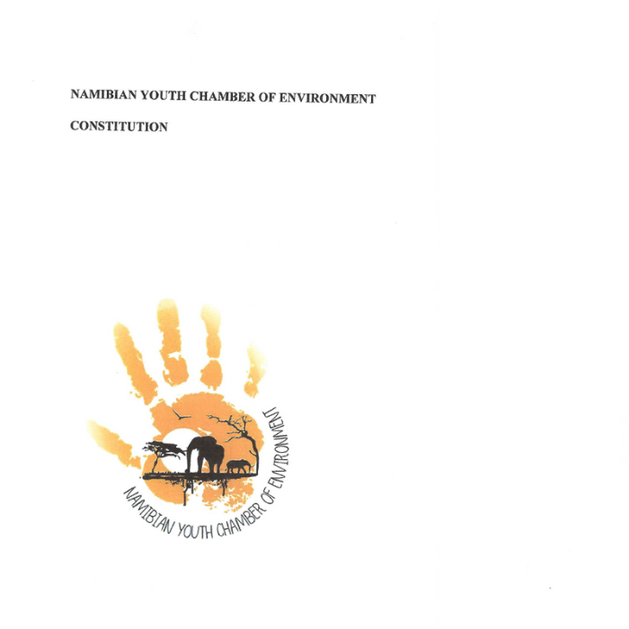 Screenshot of NYCE Constitution