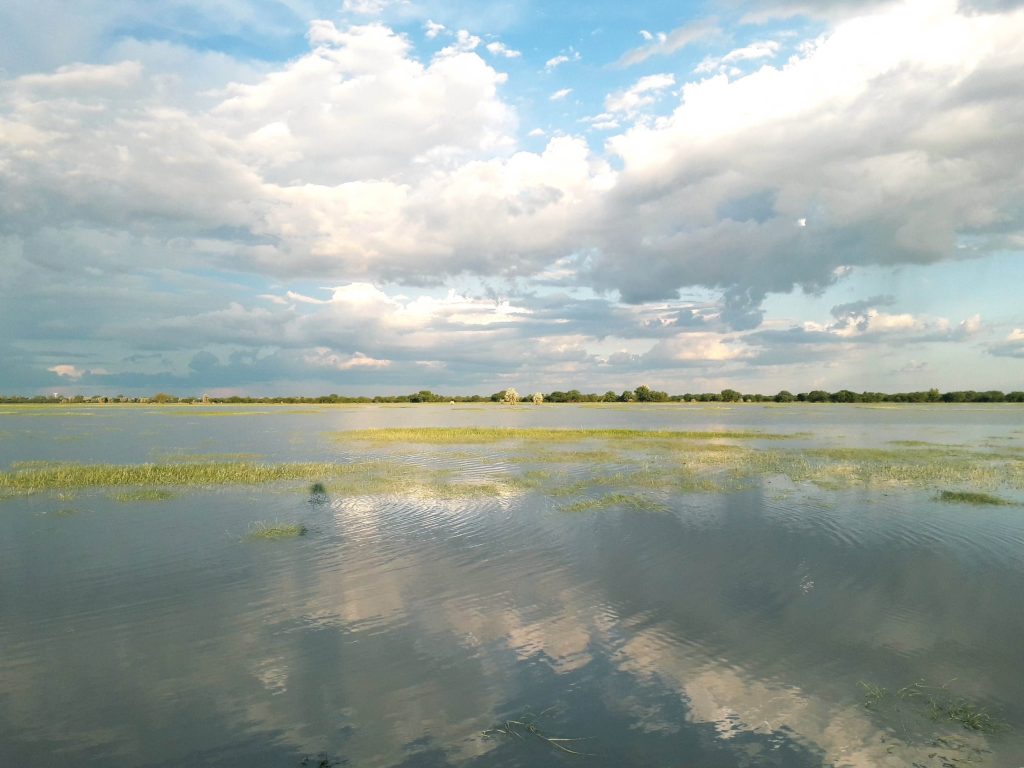 Picture of oshana with water
