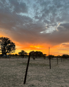A partly cloudy, orange evening sky