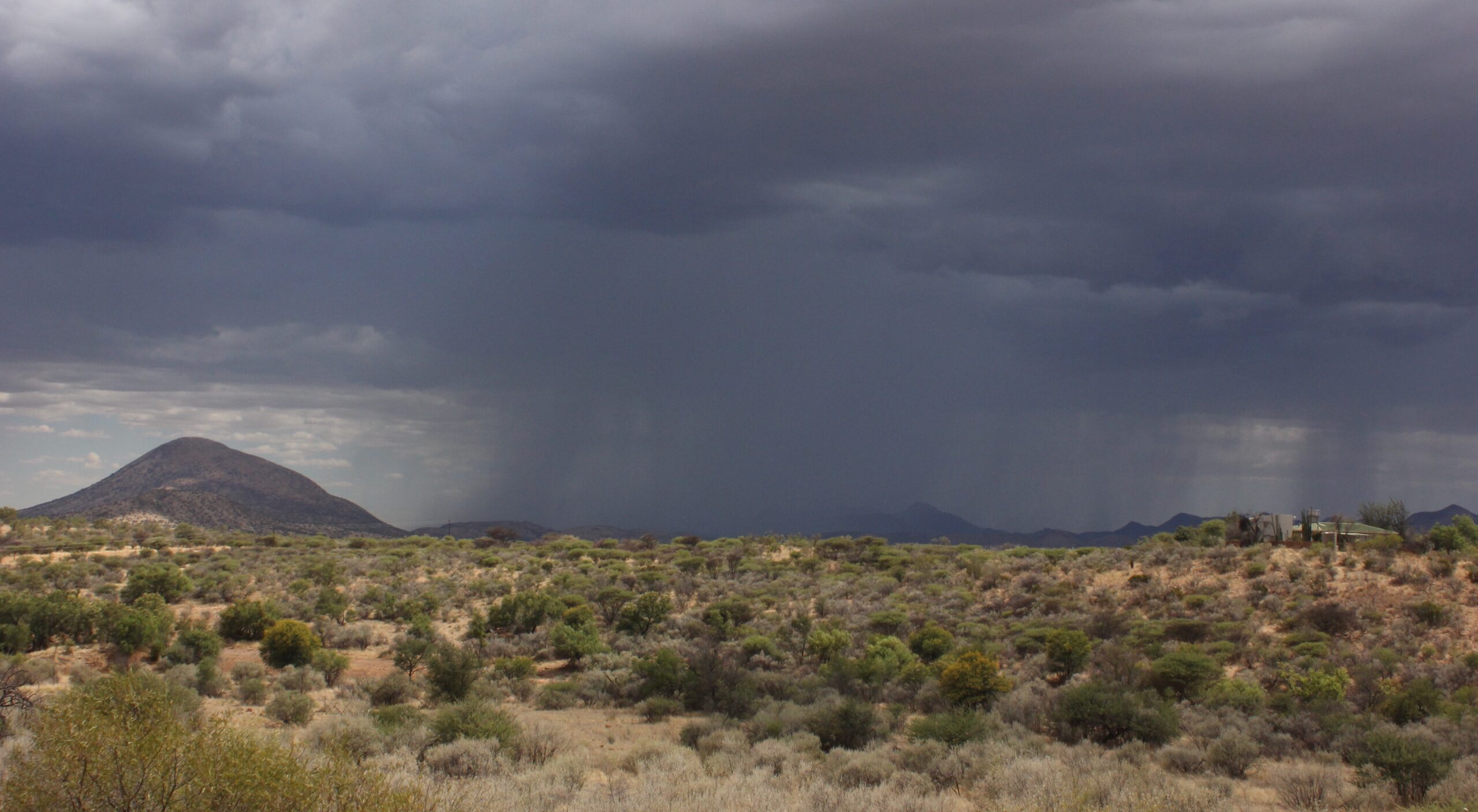 Rain in the drylands