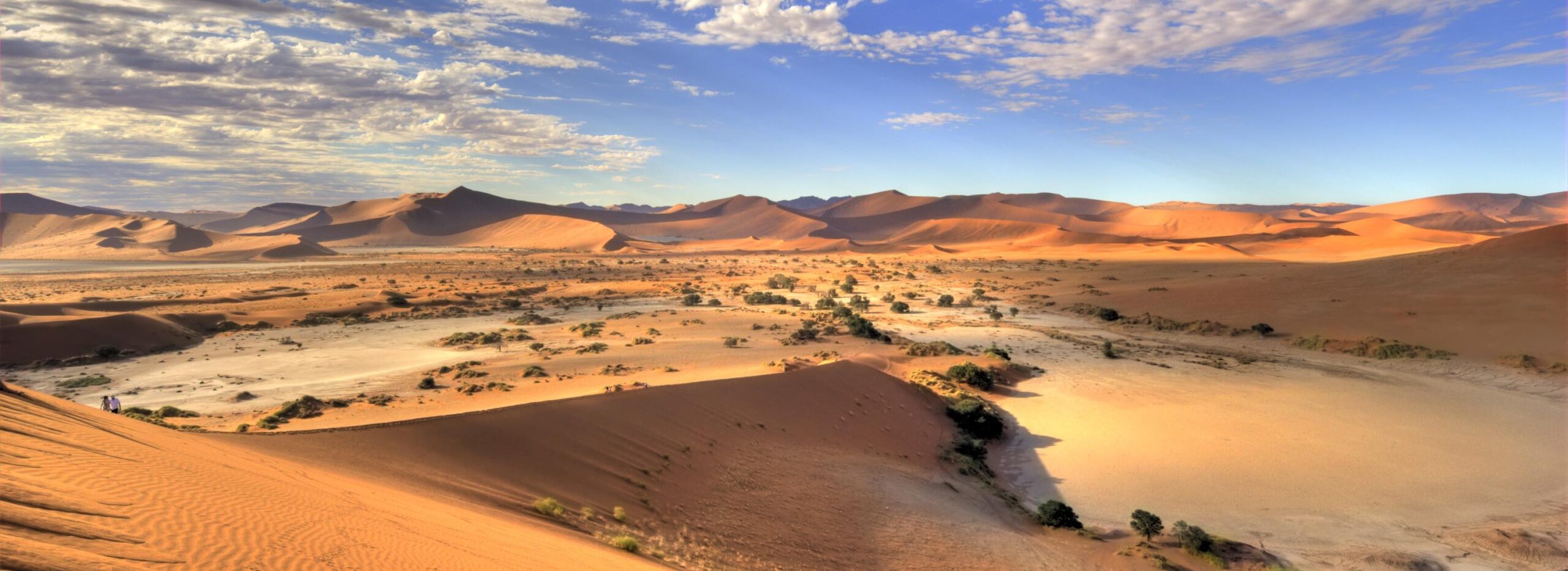 The golden Namibian desert below a blue sky.