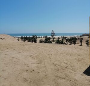 Tyre tracks in the sand close to the ocean.