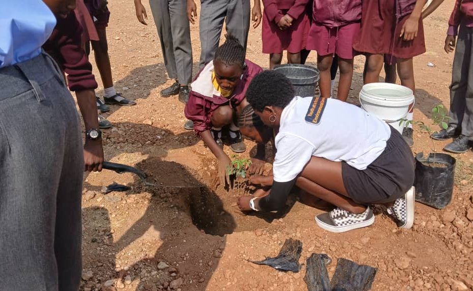 Two females planting a tree