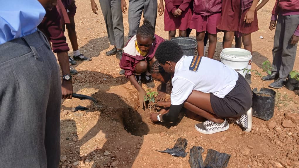 Two females planting a tree