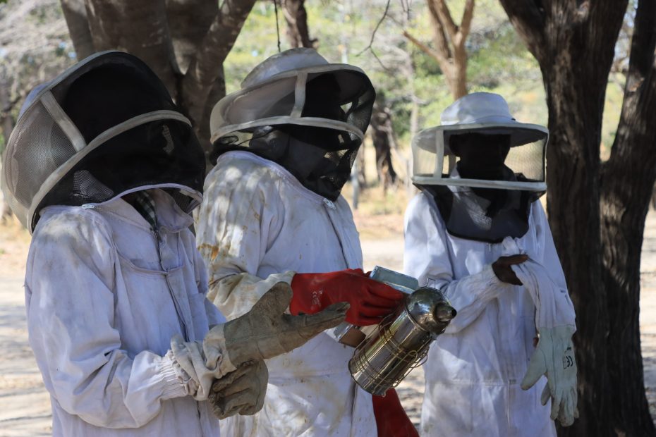 Beekeepers wearing protective gear
