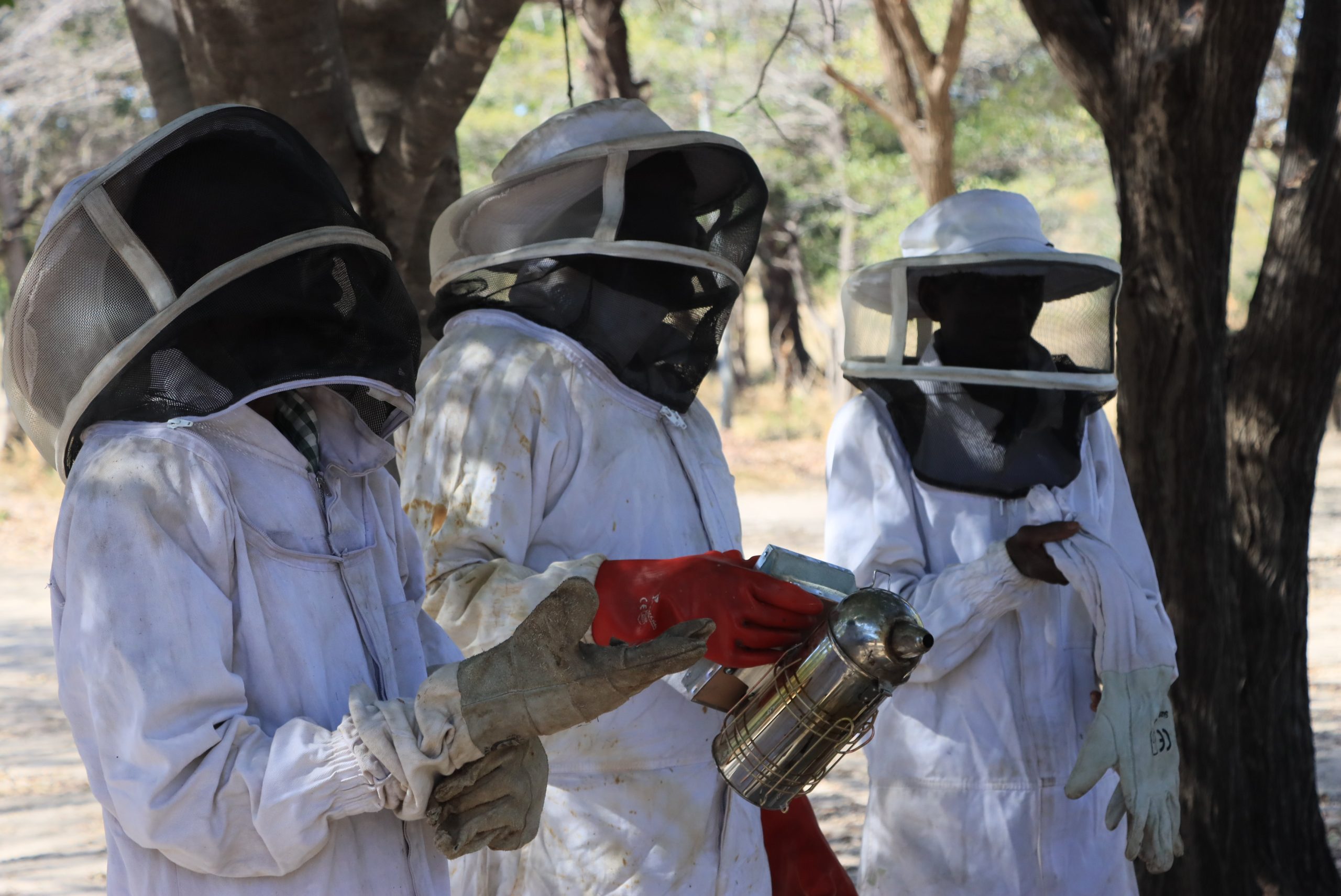 Beekeepers wearing protective gear