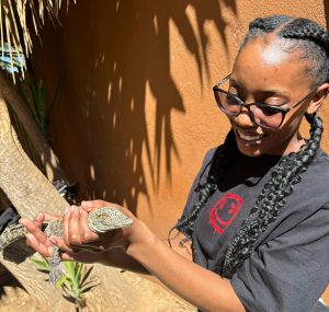 A lady holding a young crocodile