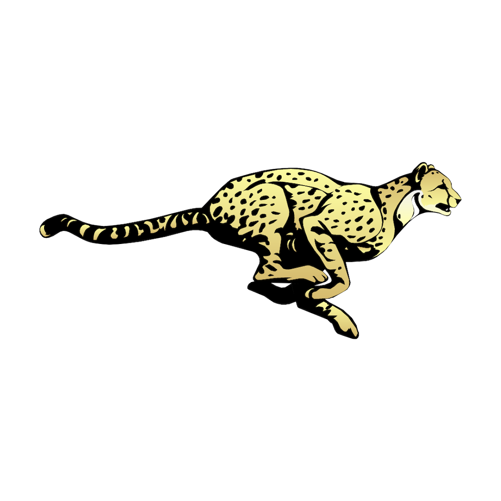 Sketch of a cheetah