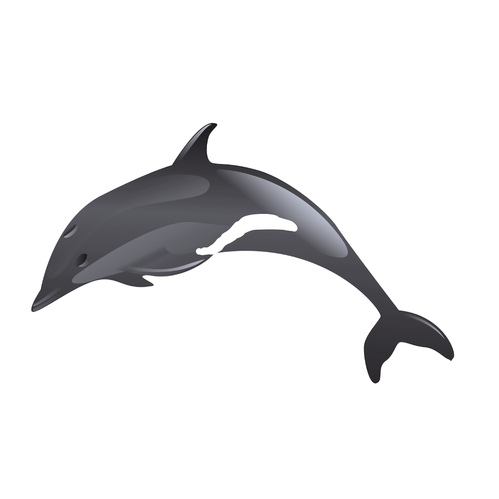Sketch of Heaviside dolphin