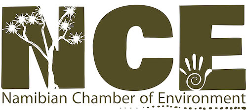 The olive coloured letters of the NCE logo.