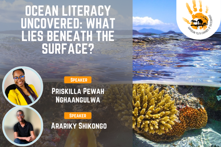 Ocean literacy webinar poster