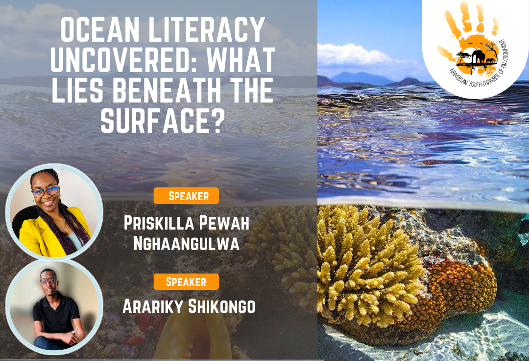 Ocean literacy webinar poster