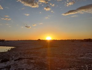 Bright evening sky with patchy clouds