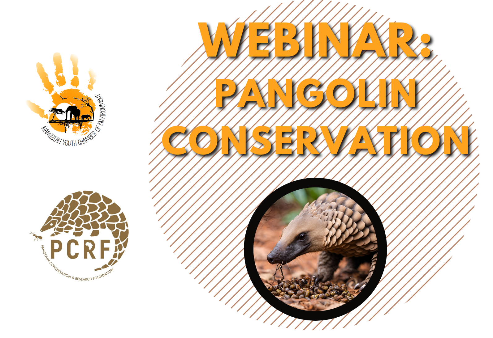 Poster with two logos, text and a pangolin