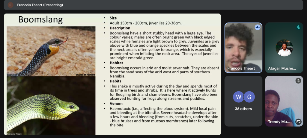 Screenshot of webinar on snakes