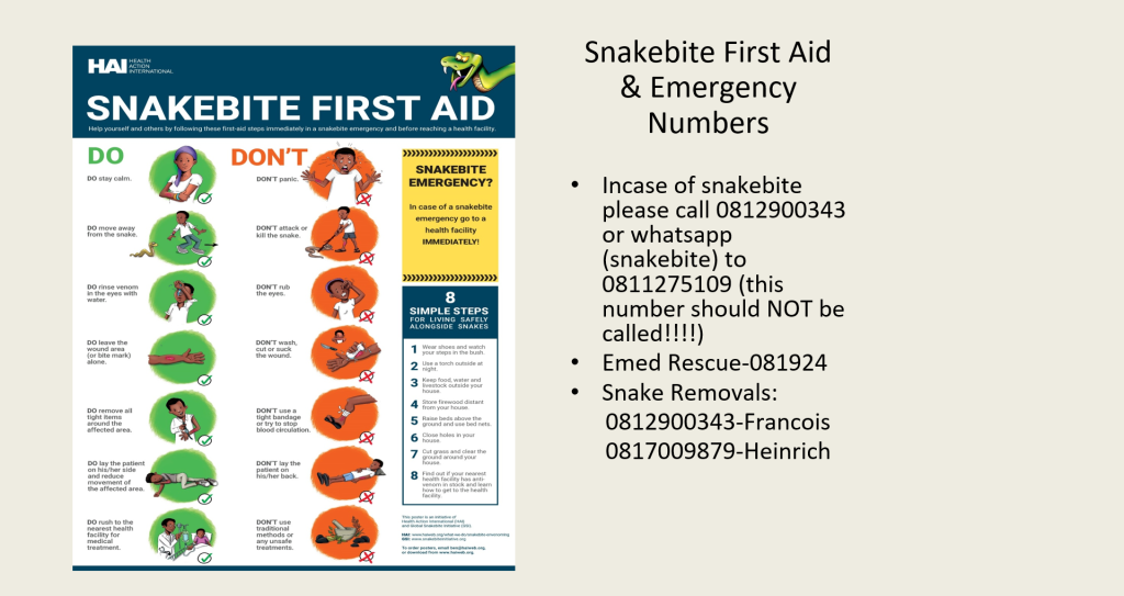 Snakebite poster first aid poster