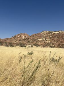 Dry grassland at the bottom of a hill