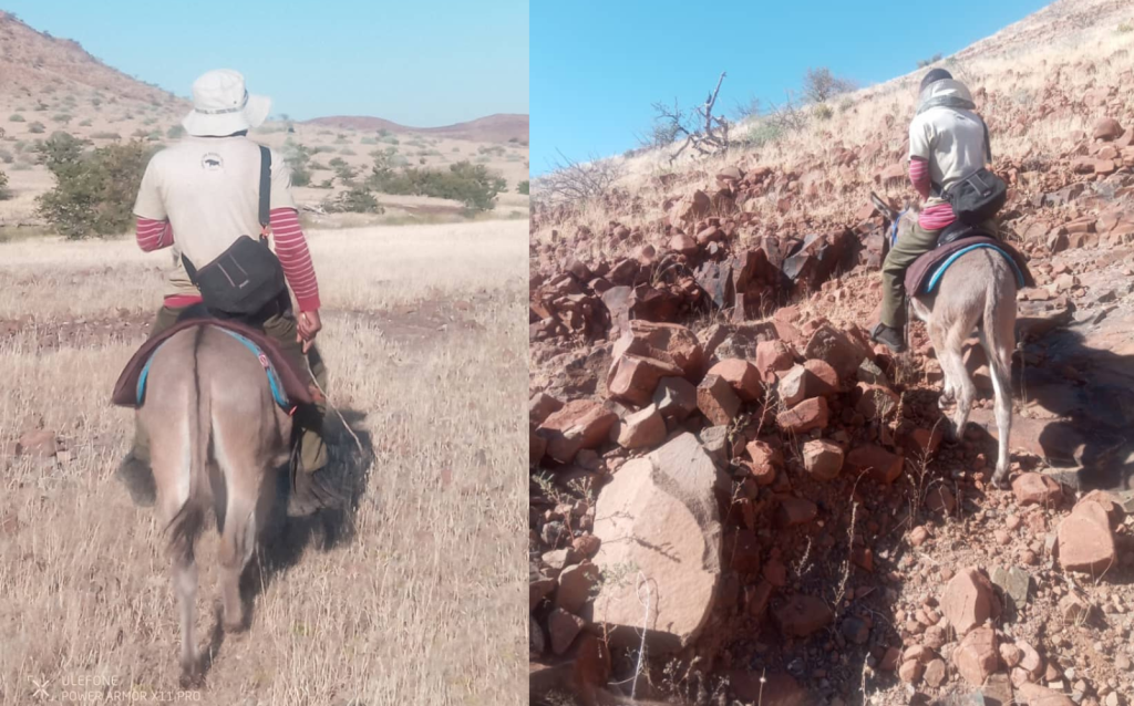 Rhino rangers riding donkeys in mountainous areas
